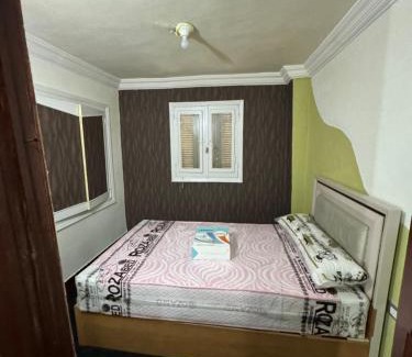 Mansoura Apartment | شقه صغيره فندقيه في موقع مميز جديده وفرش وموبيليا جديده