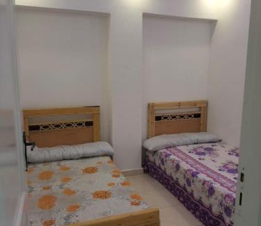 Al-'Amriyah Apartment | شقه مصيف بالنخيل اكتوبر قوات مسلحه