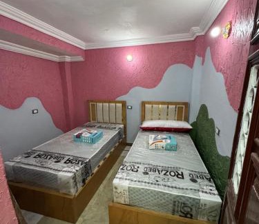 Mansoura Apartment | غرفه خاصه لك جديده وفرش جديد ومميز بها سريرين وتلفزيون