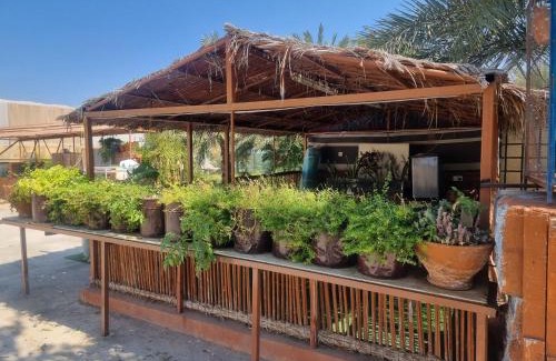 Ash Sharqiyah North Governorate House | مزرعة نحل العسل
