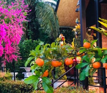 Sao Phao Ski Chalet | กอบสุข รีสอร์ท2 k13