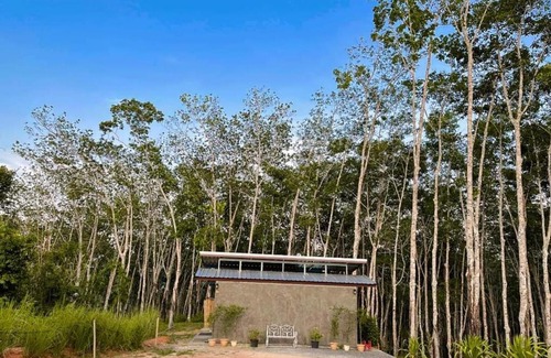 Phang Nga Other | ควนก๋งทุ๋ย Grandpa Hill Thailand