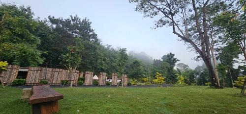 Kaeng Khoi Other | ช้างแคมป์ ชะอม