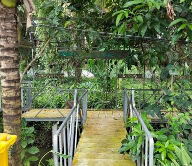 Ban Pa Yang House | ตาปีรีสอร์ท 2018