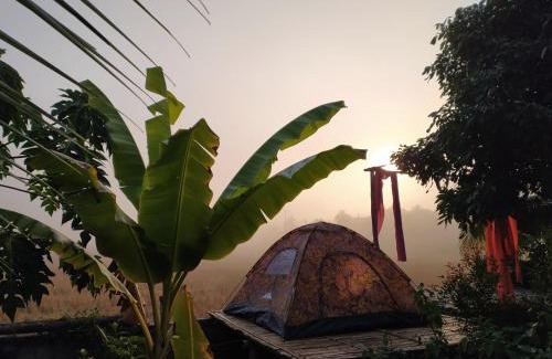 Nan House | ต้งโฮมสเตย์ กลางทุ่งนา Local Homestay and View