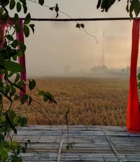 Nan House | ต้งโฮมสเตย์ กลางทุ่งนา Local Homestay and View