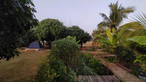 Nan House | ต้งโฮมสเตย์ กลางทุ่งนา Local Homestay and View