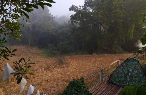 Nan House | ต้งโฮมสเตย์ กลางทุ่งนา Local Homestay and View