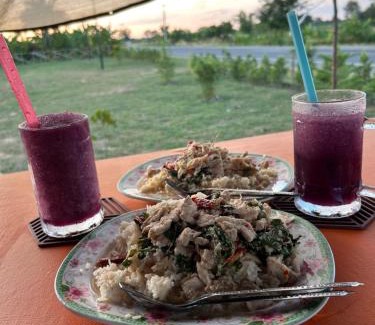 Buriram Other | ทุ่งนากางเต้นท์ Countryside