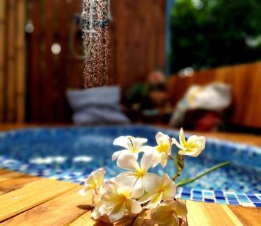 Sena House | บ้านนกฮูกอิงไม้ ริมเล