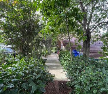 Sena House | บ้านนกฮูก อิงธารา