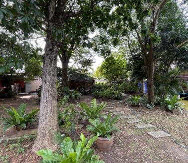 Sena House | บ้านนกฮูก อิงธารา