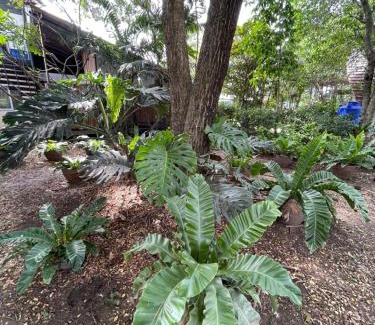 Sena House | บ้านนกฮูก อิงธารา