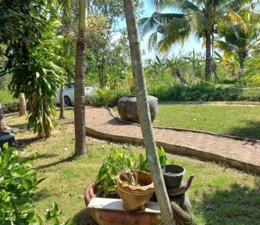 Nong Phlap House | บ้านพักคุณยายเขียว