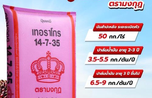 Pathio Apartment | บ้านริมหาดพูลวิลล่าบางเบิด