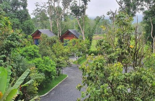 Thung Song Apartment | บ้านสวนเรินย่า(เรินย่าคาเฟ่)