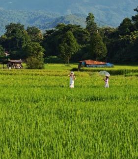 Pua Hotel | บ้านฮิมนาปัวรีสอร์ท