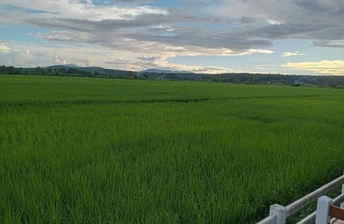 Mae Taeng Other | บ้านฮิมฝั่งแกน BanHimFangKhaen