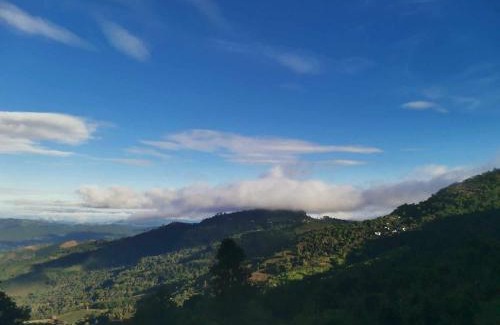 Chiang Rai Province Other | บ้านไร่นายสิงห์-Banrainaysing