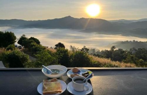 Pong Other | ภูลังกาซีวิว