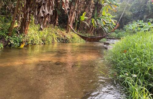 Mueang Pan House | วิวดี ป่าเหมี้ยง โฮมสเตย์