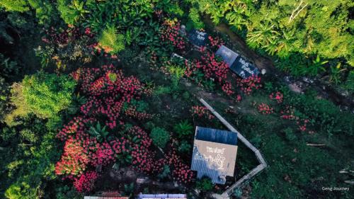 Mueang Pan House | วิวดี ป่าเหมี้ยง โฮมสเตย์