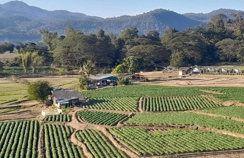Chiang Dao House | สวัสดีเมืองคองคาเฟ่