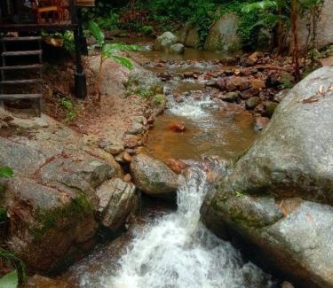 Mae On Cabin | สายน้ำและขุนเขาแม่กำปอง The River & Mountain maekampong