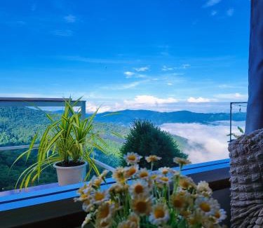 Tap Tao Other | เอวาเเคมป์ Avacamp