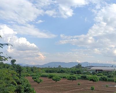 Lamphun House | ไร่ดง โฮมเสตย์