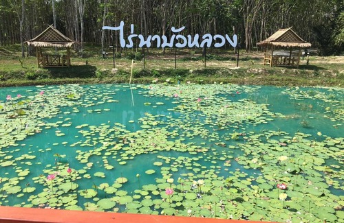 Thung Song Other | ไร่นาบัวหลวง คาเฟ่ & ฟาร์มสเตย์ RaiNa BuaLuang Cafe & Farm Stay