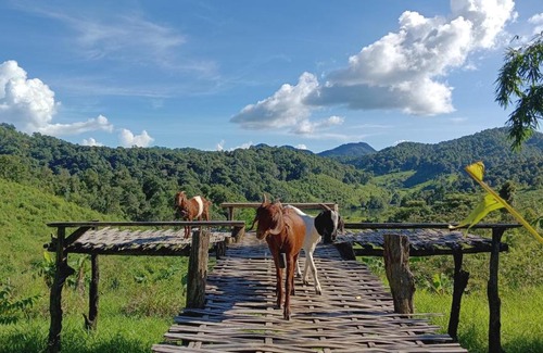 Mok Cham Pae House | ไร่นิธิสุนทร nithisoonthon farmstay