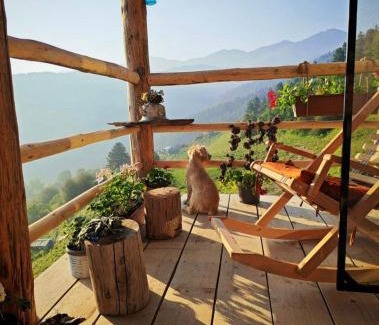 Dartlo House | ვასოს შინ - Vasos Home