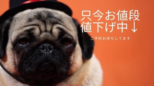 Odori Apartment | すすきの駅から徒歩9分 アクセス便利 Shimaya Building 605 島屋ビル