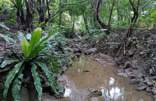 Nago Apartment | ジャングリアに一番近い宿 敷地四千坪以上 広い敷地内で宿泊者以外とBBQ&宿利用可 宿泊最大10名 Forest lnn YANBARU