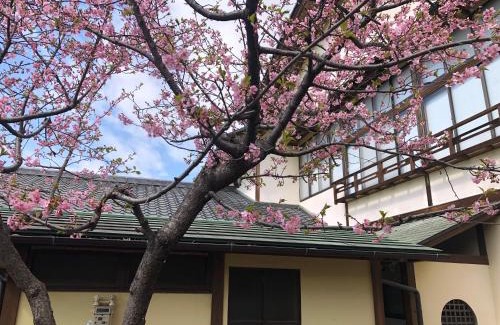 Isawa Onsen House | フクロウの御宿 石和館