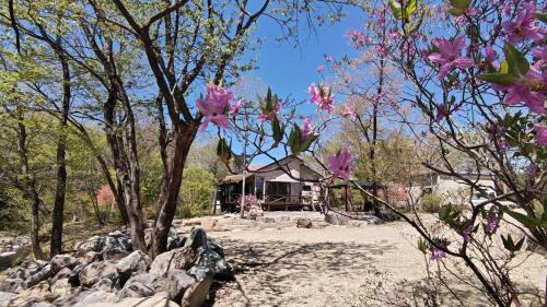 Nasu House | フルブルーム