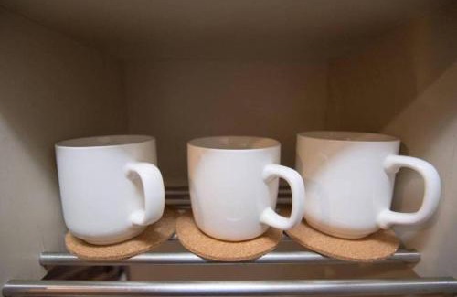 Hiroshima City Centre Apartment | リーベ広瀬北町301