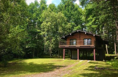 Nagano Ski Chalet | 『一軒丸々貸切』徒歩5分圏内カフェ 自然を満喫 Modern Ski Chalet +WiFi & 5min walk to cafes.