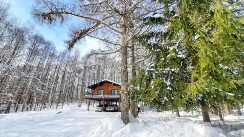Nagano Ski Chalet | 『一軒丸々貸切』徒歩5分圏内カフェ 自然を満喫 Modern Ski Chalet +WiFi & 5min walk to cafes.