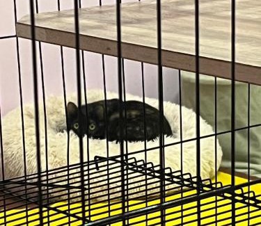 Chenggong Bed & Breakfast | 三仙台日出民宿