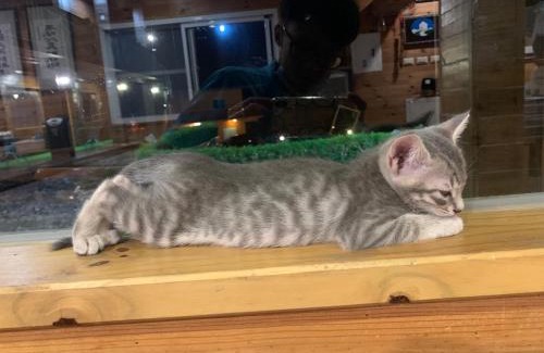 Chenggong Bed & Breakfast | 三仙台日出民宿