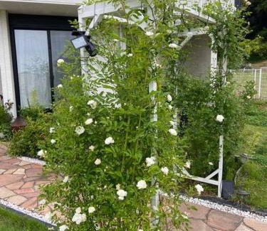 Katsuura Villa | 勝浦 高台庭付き 星はとてもキレイ 鳥の鳴き声で目覚め 貸し切り