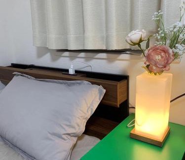 Tsuruhashi Villa | 孔雀民宿