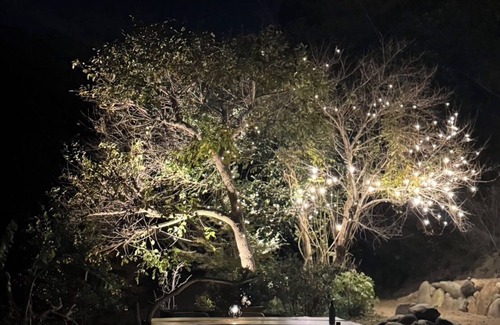 Minamiboso House | 日本の庭師が手がけたひと山貸しの庭園が魅力的なプライベート別荘【Garden Planet】n～自然とつながる住処～で極上の休日を。