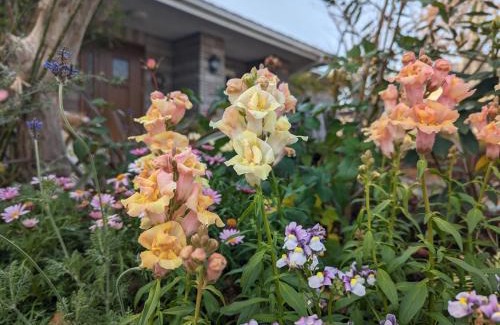 Yanagawa House | 柳川ゲストハウス 憩 (IKOI)