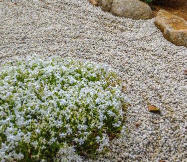 Hida Takayama Onsen Villa | 楓の宿 高山市中心 新改装三卧室独栋住宅 周边多个大型超市 至星巴克步行六分钟 两个免费停车位