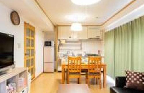 Dotonbori Apartment | 民泊の帝王 道頓堀東 911