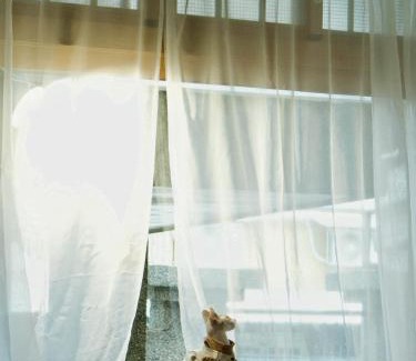 Taitung City Centre House | 癒室Healing space貓咪咖啡廳寵物友善民宿-台東縣民宿2094號