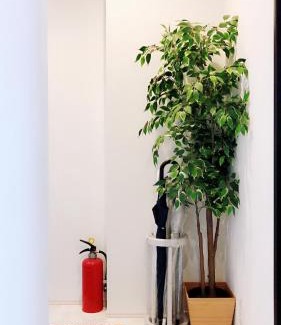 Ichikawa Apartment | 竹内公寓